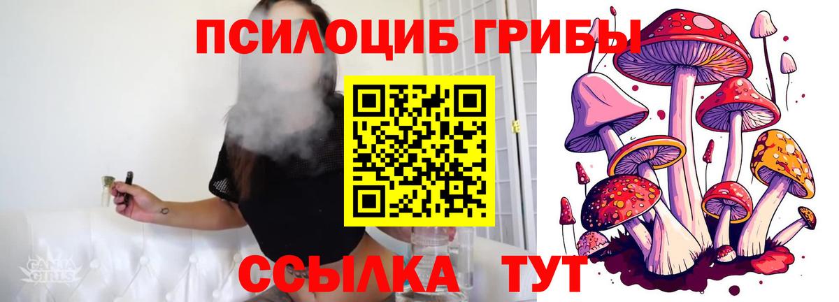 Галлюциногенные грибы мухоморы  Вход с VPN  Михайловск 